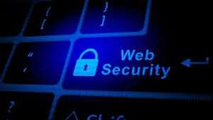 What does Web Application Security mean?